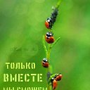 ���� ��������, ����� - ��������� 25 ������ 2018 � ������ ������ ��������