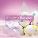 ���� Predrag, ����-��� - ��������� 8 ������ 2018 � ������ ������ ��������
