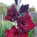 ���� �����, ������ - ��������� 13 ���� 2018 � ������ ���� ���������