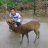 ���� Kyaw Min, �����, 34 ���� - ��������� 26 ������ 2017