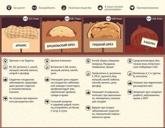 12 самых популярных орехов: их польза и вред.Сохрани на стену, чтобы не потерять #советы@ican