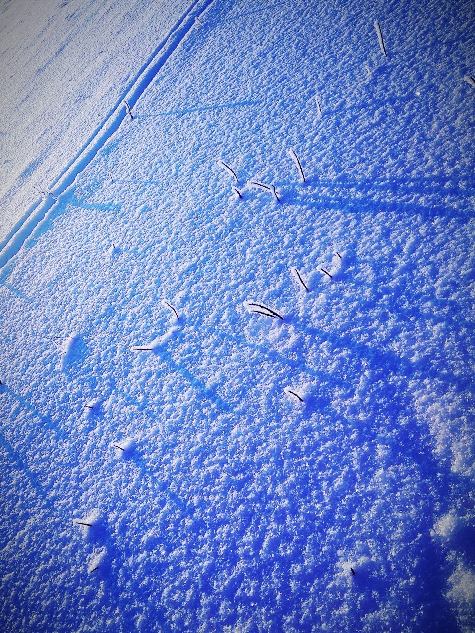       !!! - 6