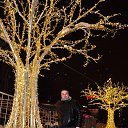 ���� ������, ������, 36 ��� - ��������� 17 ������� 2018 � ������ �� 2018 ���