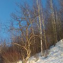 ���� ����������, ������, 58 ��� - ��������� 9 ������ 2018 � ������ �������