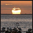 ���� �����, ���������� ����� - ��������� 26 ������ 2018 � ������ ������ ��������