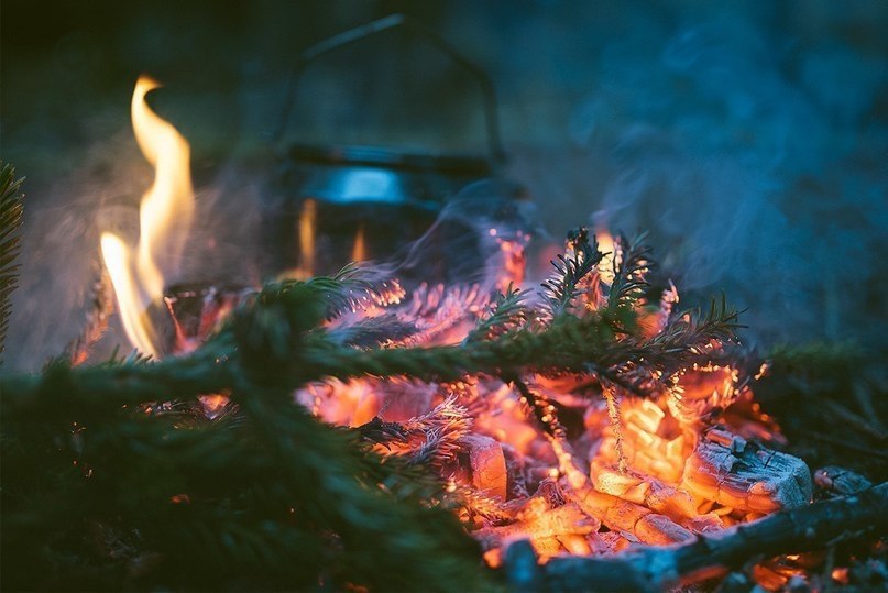 �� ����� ����� �������� ���������� - 7