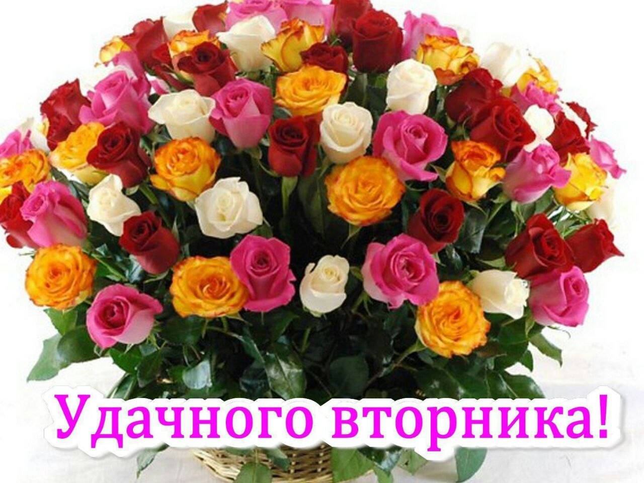 Июньское утро.Июньское утро, такое тихое,Что сердце частит, оглушительно тикая,И, над мостом ...