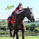 ���� ����, �������, 61 ��� - ��������� 14 ���� 2018 � ������ ���� ����������