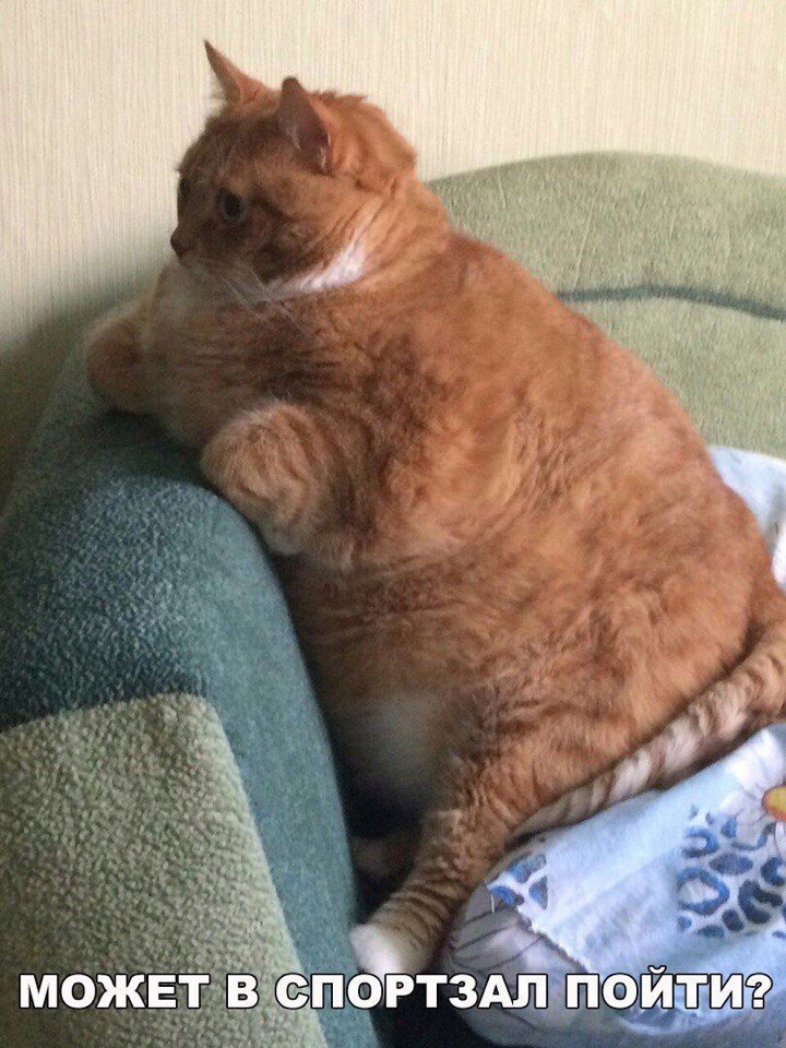  -  - 18  2018  03:54