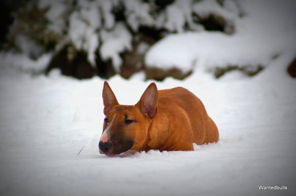 Приятно готовиться к встрече Нового года и ждать каких-то светлых перемен в судьбе. Год 2018-й ...