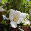  ,  -  28  2018   dtt