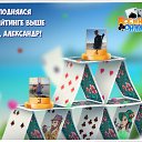 ���� ����, �����������, 61 ��� - ��������� 29 ����� 2018 � ������ �������� �������-�������
