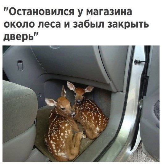   :    - 31  2019  16:47