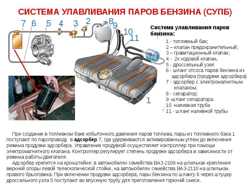 Система улавливания паров бензина - Раздел 4. Двигатель - Руководство по ремонту