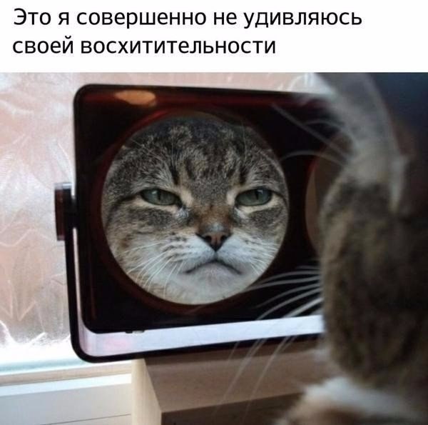    - 29  2018  16:45