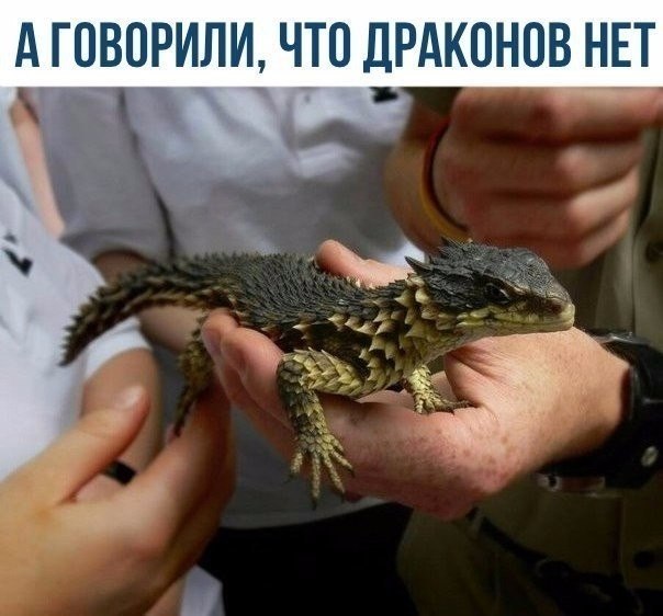   :    - 9  2018  16:26