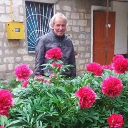 Georgii Buiukli, �������, 88 ���