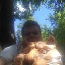 ���� ����, ��������, 44 ���� - ��������� 12 ���� 2018 � ������ ���� ����������