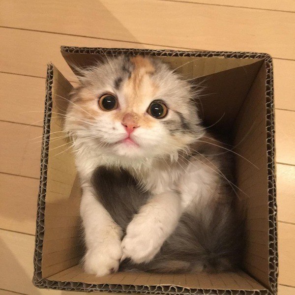  !   ! :)