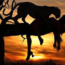 ����, ������, 47 ���