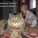 ���� �����, ������ - ��������� 22 ������� 2018 � ������ ������ ��������