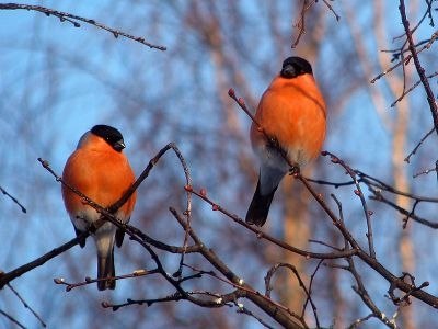  ))).    -  !   , !  ... - 6