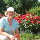 Elena, , 74  -  5  2019    