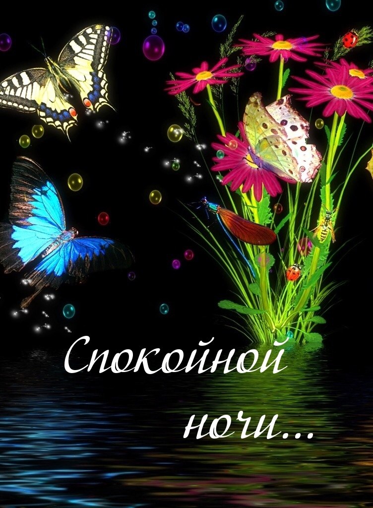   ,    . - 21  2019  21:21 - 2