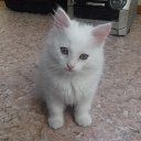 ���� Serg, ������ - ��������� 12 ������ 2019