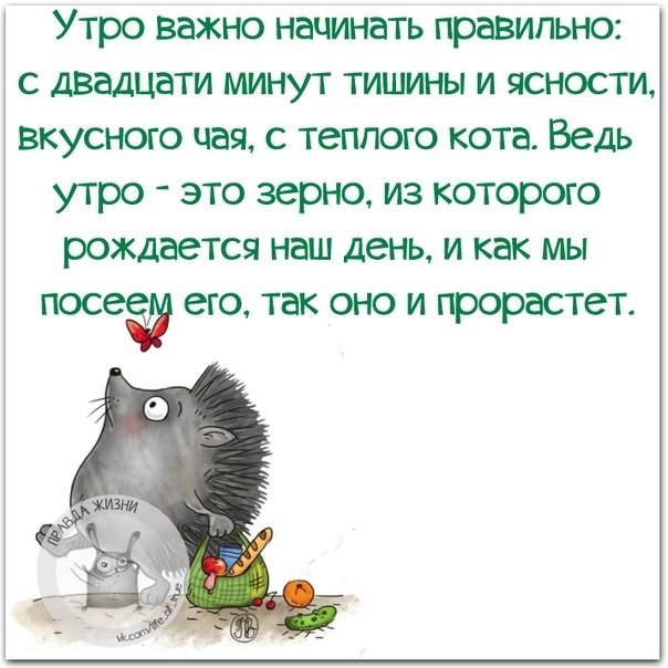   - 24  2018  17:08