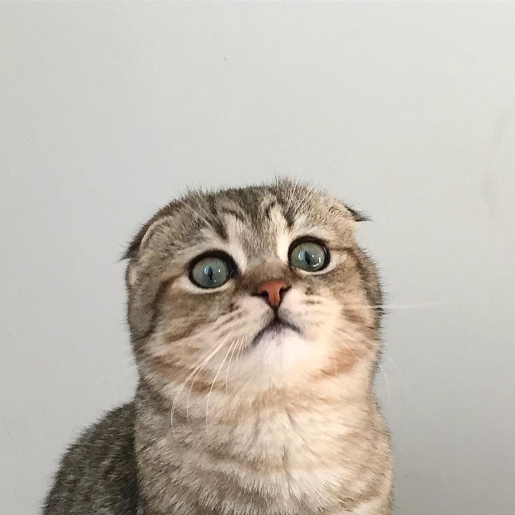   ,     - 5