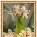 ���� �����, ������, 57 ��� - ��������� 29 ������� 2018 � ������ ���� ����������