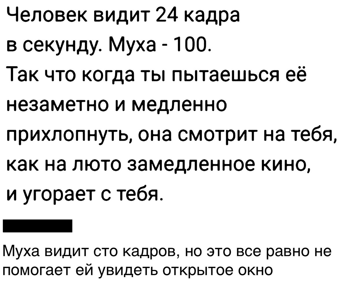 Сколько кадров видит муха. Сколько кадров видит человек. Сколько кадров в секунду видит человек. Сколько кадров в секунду видит Муха. 100 Кадров в секунду.