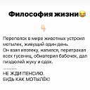 ���� ����, ����������, 51 ��� - ��������� 11 ������� 2018 � ������ ���� ����������