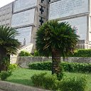 ���� �����, ������ ��������, 41 ��� - ��������� 4 �������� 2018 � ������ ���� ����������