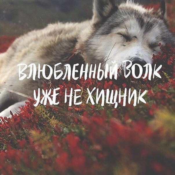    - 16  2019  03:26