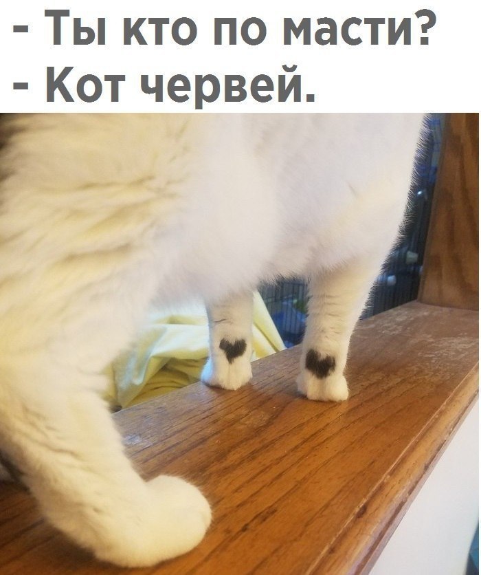 - 6  2018  16:54