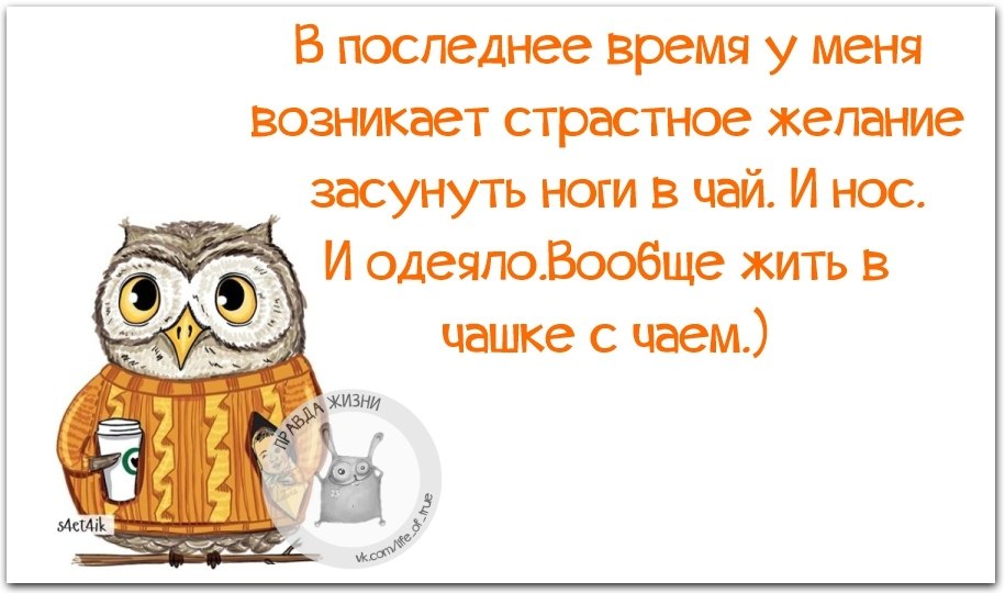 Не возникает желание. Каждое утро в голове единственный вопрос. Хорошо вчера посидели. Привычка думать головой одна из черт. Каждое утро в голове вопрос я спала или просто полежала.