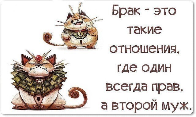  - 6  2018  16:46