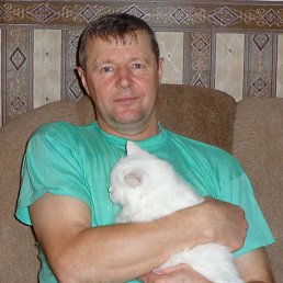 �������� �������, �����, 66 ���