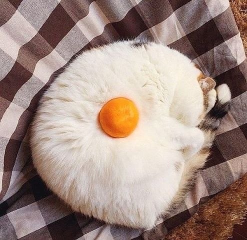 )))