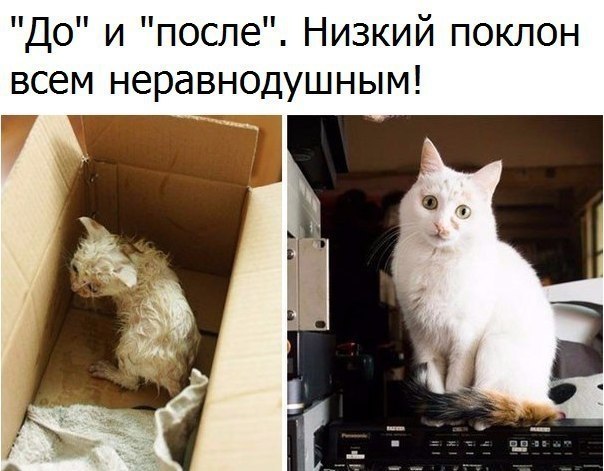    - 1  2018  16:46