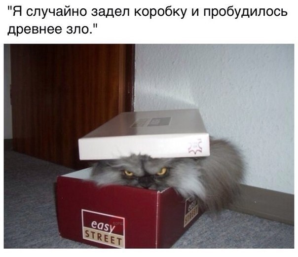  - 24  2018  17:57