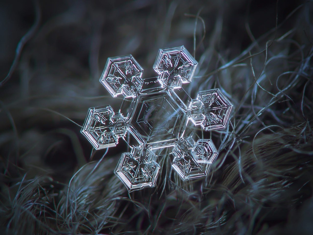   ?!  ,     - 4