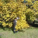  C, , 65  -  8  2018   -.   .