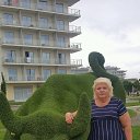 ���� �����, �����-���������, 63 ���� - ��������� 15 ���� 2018 � ������ ���� ����������