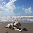 ���� Natali, ��������� - ��������� 23 ����� 2019 � ������ �Nuvole Cumuli e Mare...�