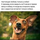 ���� ������ �, ��������� - ��������� 16 ������� 2019 � ������ ������ ��������