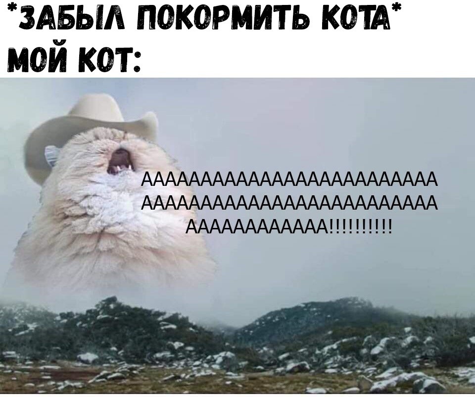    :D - 21  2018  17:12