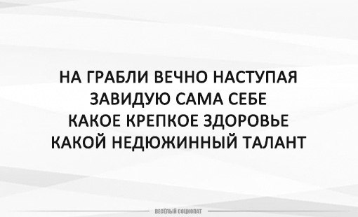 =Fox= - 8  2018  10:56